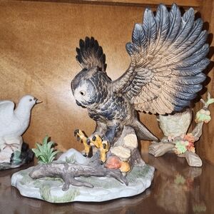 Beautiful outstretch wing Owl Wellington